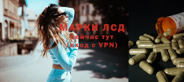 гидра Горняк