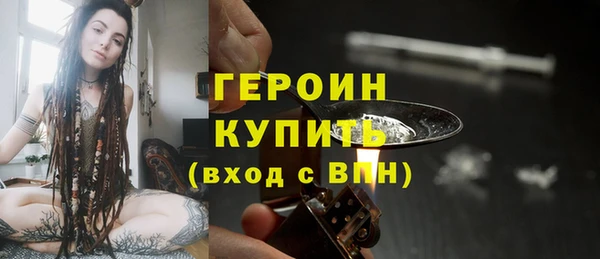 гидра Горняк