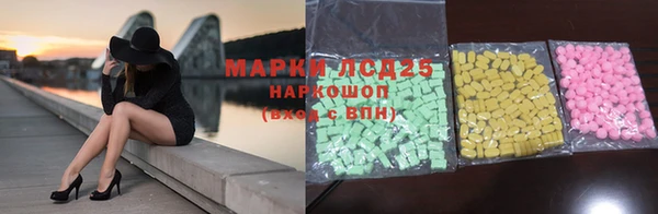 гидра Гусев