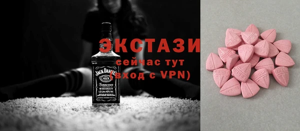 гидра Горняк