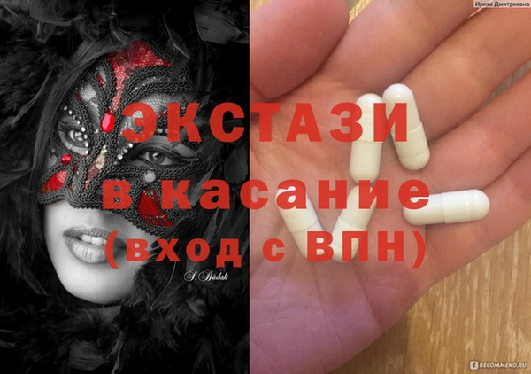 гидра Горняк