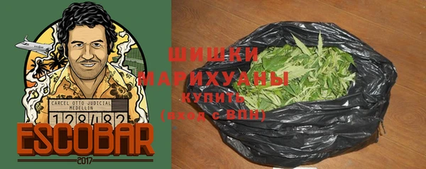 гидра Горняк