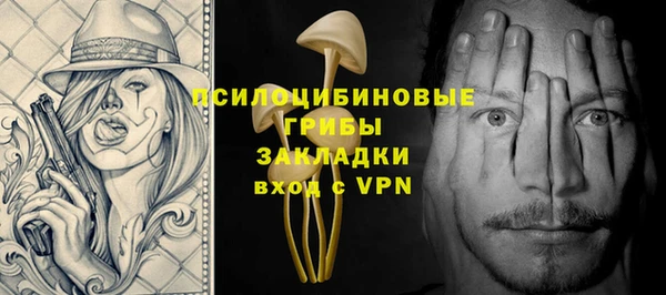 гидра Гусев