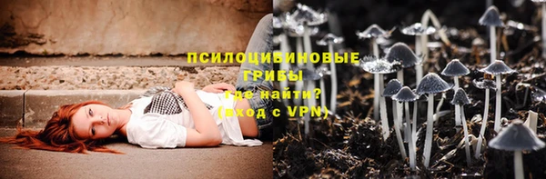 гидра Гусев